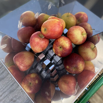 Apple Scratter And 12 L Fruit Press Set, 4 of 8