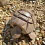 Wooden Tortoise Ornament Gift, thumbnail 4 of 5