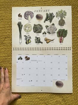 2025 Calendar UK Seasonal Fruit And Vegetable Calendar, 12 of 12