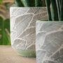 Terracotta 'Leaf' Planters And Vase, thumbnail 5 of 7