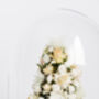 Flower Dome – Christmas Tree ‘White Christmas’, thumbnail 3 of 5