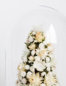 Flower Dome – Christmas Tree ‘White Christmas’, 3 of 5