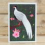 Silver Pheasant Greeting Card, thumbnail 2 of 2