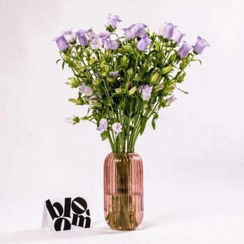 Lilac Campanula Fresh Flower Bouquet, 3 of 5