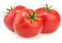 Tomato Seeds 'Gardener's Delight' 12 X Seed Pack, thumbnail 1 of 5