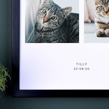 Personalised Four Photos Pet Print, 2 of 7