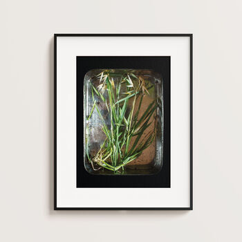 Personalised Grasses | Little Things In Tins Nature Study Print, 2 of 3