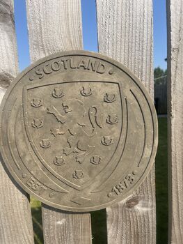 Scotland Football Team Plaque Scottish Badge, 5 of 5