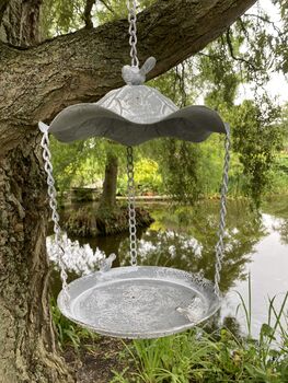 Hanging Steel Bird Feeder, 9 of 11