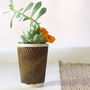 Corrugated Succulent Pot, thumbnail 5 of 11