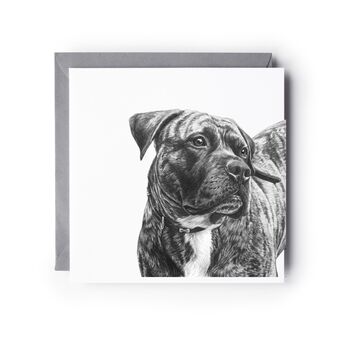 Hand Drawn Pit Bull Cross Dog Greeting Card Illustration, 2 of 6