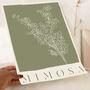 Botanical Mimosa Print, thumbnail 2 of 4
