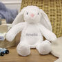 Personalised Rabbit Teddy Bear Soft Toy For Children, thumbnail 1 of 10