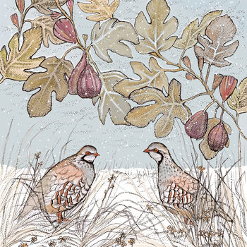 'Partridge And Figs' Print, 3 of 3