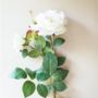 Faux Roses With Eucalyptus In A Vase, thumbnail 4 of 4