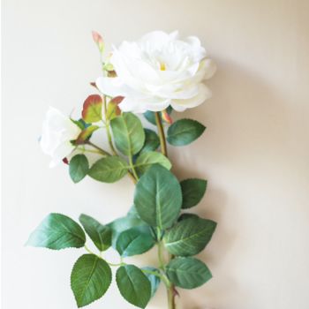 Faux Roses With Eucalyptus In A Vase, 4 of 4