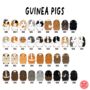 Personalised Guinea Pig Lover Illustration Mug, thumbnail 2 of 4