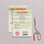 Wooden Gallimimus Dinosaur Christmas Tree Decoration, thumbnail 2 of 3