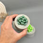 Green Succulent Candles In Handmade Concrete Pots, thumbnail 12 of 12
