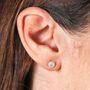 Sterling Silver Shell Stud Earrings, thumbnail 5 of 6