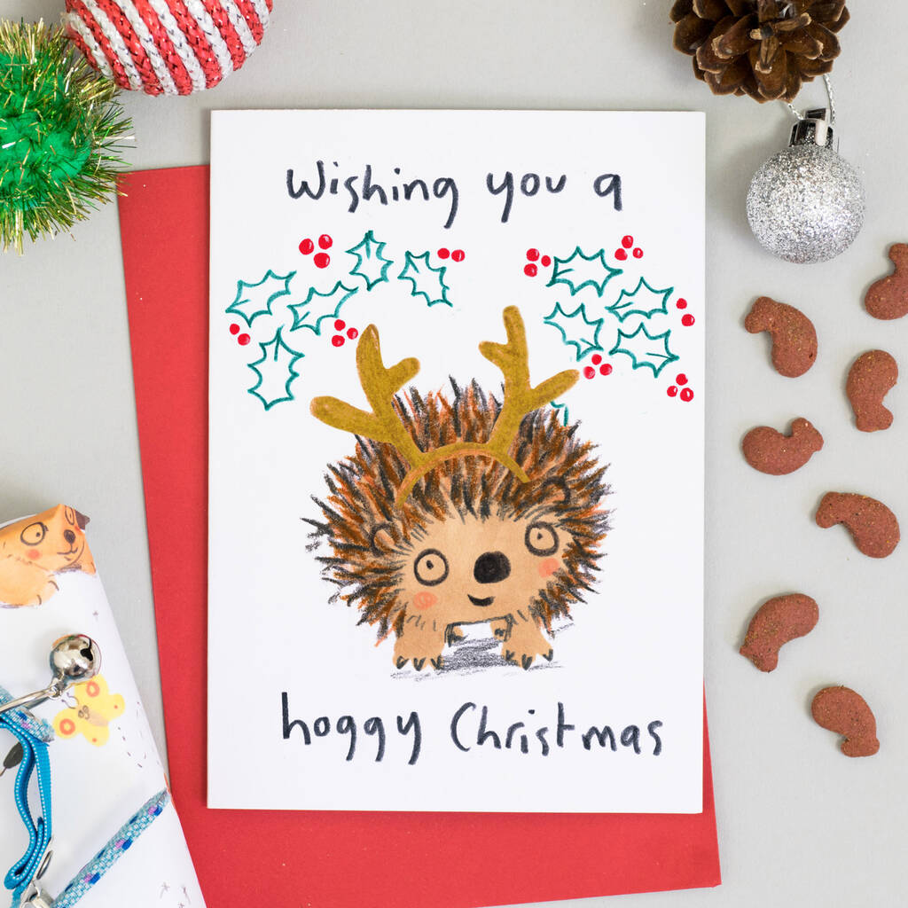 Hedgehog Christmas Cards Pack Of Eight Cards By Jo Clark Design