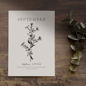 Birth Flower Wall Print 'Aster' For September, 5 of 12