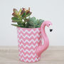 Flamingo Mug Planter With Choices Of Plants, thumbnail 3 of 7