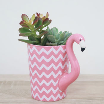 Flamingo Mug Planter With Choices Of Plants, 3 of 7