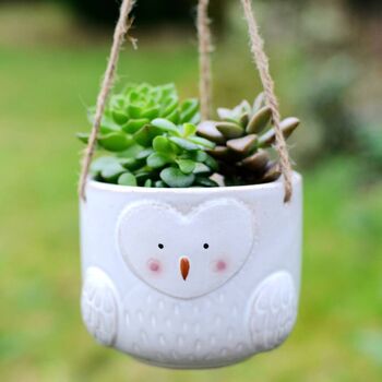 Ceramic Owl Hanging Plant Pot With Choices Of Plants, 2 of 3