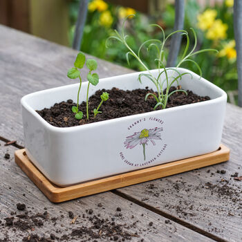 Personalised Make It Your Own Ceramic Bamboo Planter, 2 of 3