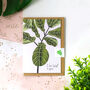 Set Of Six Houseplant Greeting Cards, thumbnail 10 of 12