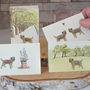 Boxed Collection Of Border Terrier Gift Cards, thumbnail 1 of 4