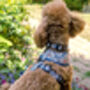 Shipwrecked Nautical Dog Harness, thumbnail 10 of 11