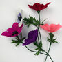 Paper Flower Kit Anemone, thumbnail 10 of 11