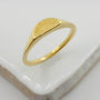 Sun Signet Ring Silver/Solid Gold, thumbnail 2 of 9