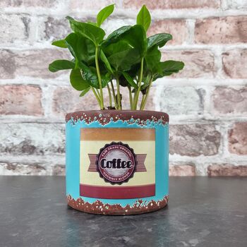 Retro Coffee Houseplant Pot Gift Surprise Plant, 3 of 10