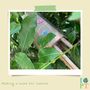 Children's Eco Activity Box: Incredible Insects, thumbnail 5 of 11