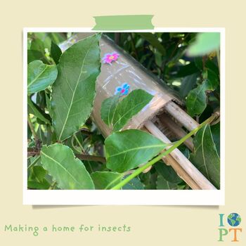 Children's Eco Activity Box: Incredible Insects, 5 of 11