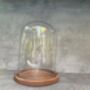 28cm Glass Display Cloche Dome – Bell Jar, thumbnail 2 of 9
