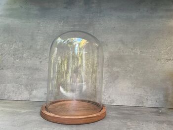 28cm Glass Display Cloche Dome – Bell Jar, 2 of 9