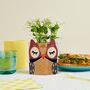 Personalised Owl Design Card And Microgreen Seed Gift, thumbnail 3 of 9
