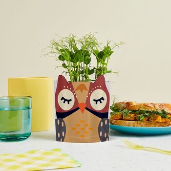 Personalised Owl Design Card And Microgreen Seed Gift, 3 of 9