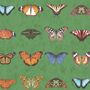 Lepidoptera Willow Green Wallpaper, thumbnail 3 of 3