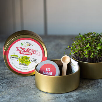 Grow Your Own Microgreens Teeny Greeny Micrology® Kit, 10 of 10