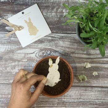 Plant A Bunny Seed Paper Card, 4 of 7