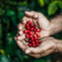 The Limited Edition Coffee Lovers Gift Set, thumbnail 8 of 12