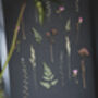 A3 Framed Pressed Flower Art – Shadow Garden On Black, thumbnail 3 of 8
