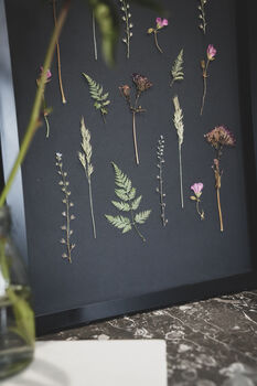 A3 Framed Pressed Flower Art – Shadow Garden On Black, 3 of 8