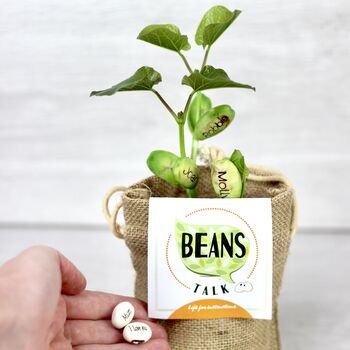 Pack Of Five Message Beanstalk Seeds, 3 of 9
