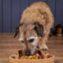 Personalised Eco Friendly Dog Food Bowl Made In Britain, thumbnail 2 of 7